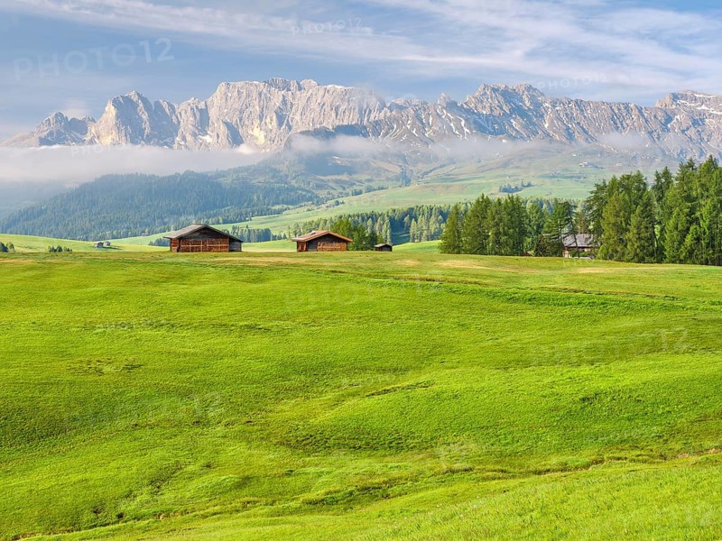 Spring on the Seiser Alm, Alpine huts with rose garden, fog, Dolomites, South Tyrol