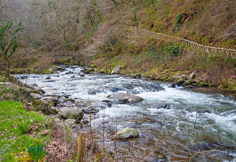 Confluence of East Lyn River and Hoar Oak water at Watersmeet, Exmoor national park, near Lynmouth, Devon, England, United Kingdom, Europe