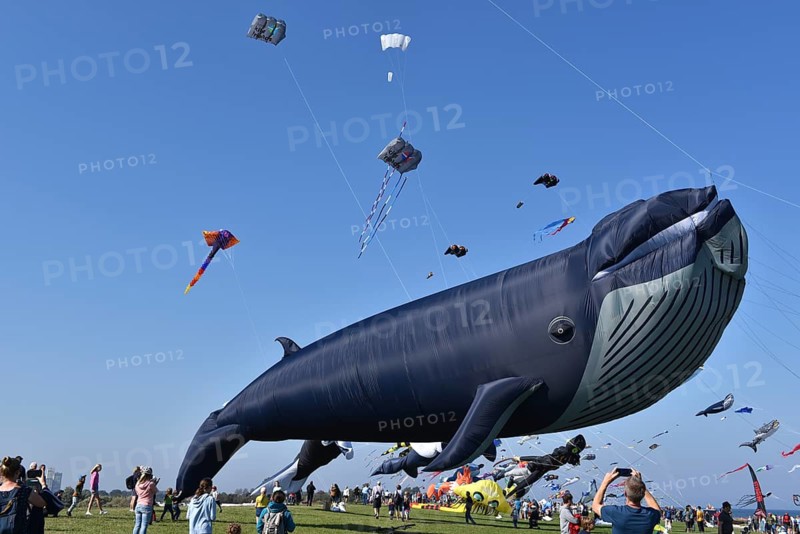 Kite festival, flying kites on Schönberg beach, Schleswig-Holstein, Germany, Europe
