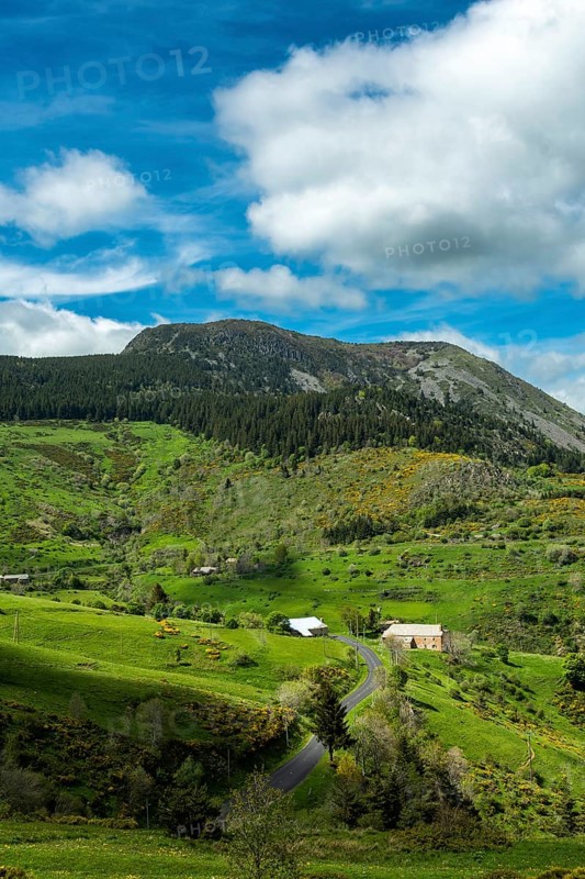 Lush Green Landscape of Mont Mezenc in in the Monts d'Ardeche Regional Natural Park, Auvergne-Rhone-Alpes, France, Europe