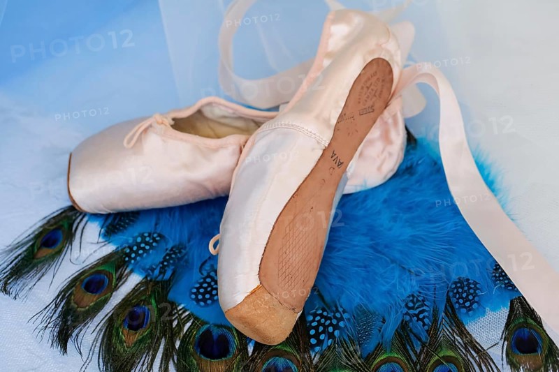 Ballet shoes, pointe shoes on peacock feathers, still life, dance shoes covered with satin in light pink colour, leather sole, studio, Germany, Europe