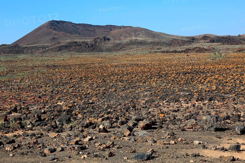 Rocky volcanic badlands 'malpais' landscape, Malpaís Grande national park, Fuerteventura, Canary Islands, Spain, Europe
