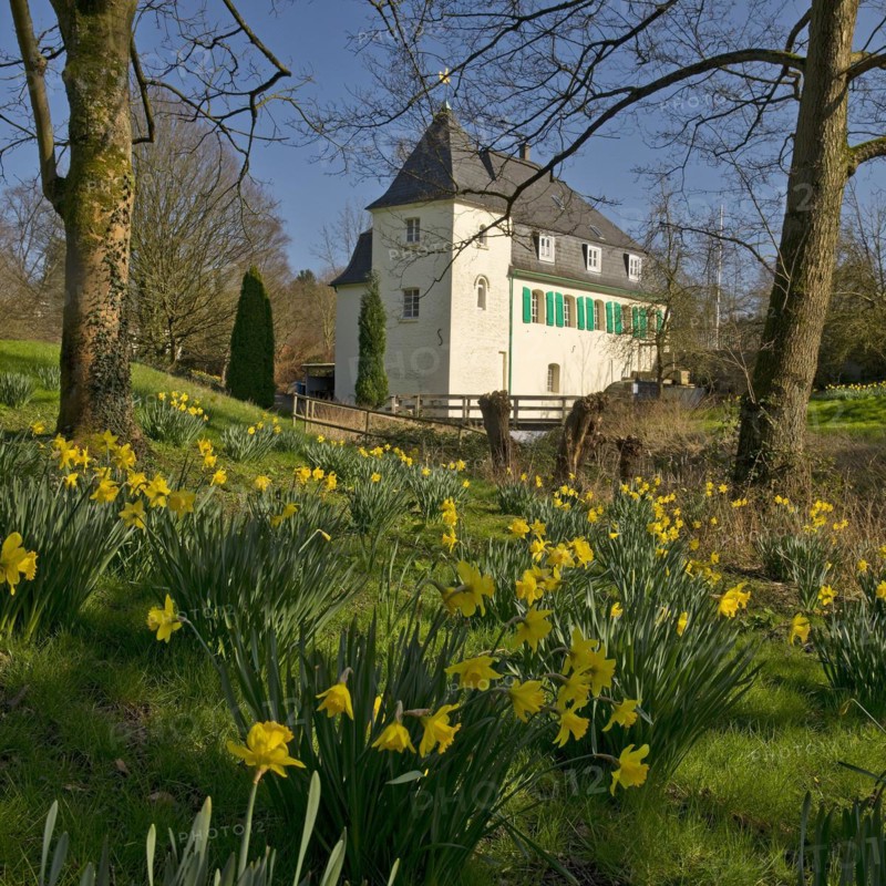 Goldberg Mill in spring, historical sight, Mettmann, Bergisches Land, North Rhine-Westphalia, Germany, Europe