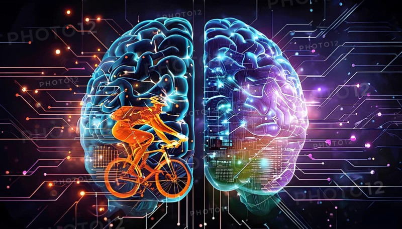 Abstract brain split into two halves, one side athletic motion, the other side neural network, vibrant colors, symbol for artificial intelligence in sport, AI generated