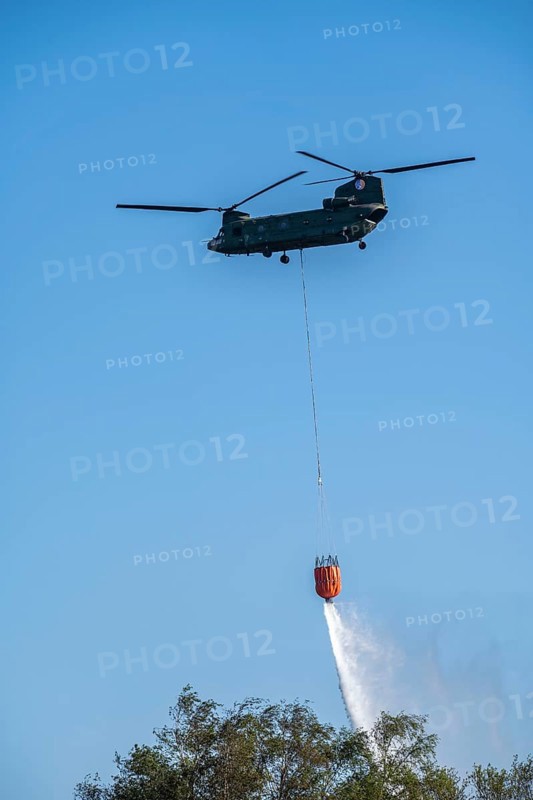 Forest fire in the German-Dutch border region near Niederkrüchten-Elmpt, in a nature reserve, use of fire-fighting helicopters, Boeing CH-47 Chinook helicopter, of the Dutch Air Force with extinguishing water tank, Bambi Bucket max