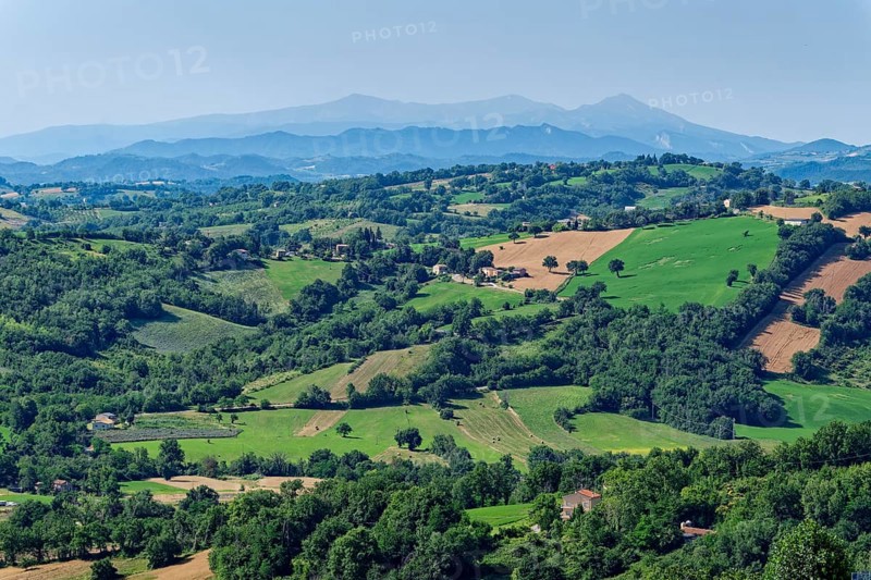 Landscape in the Marche region near San Ginesio and in the background the mountain range of the Marche Apennines