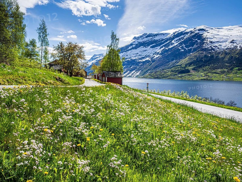 View of snow-covered mountains, fjord and apple trees in bloom, spring, Hardangerfjord near Lofthus, Hardanger, Norway, Europe