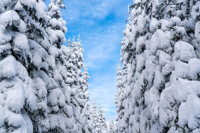 Winter in Sauerland, Hochsauerlandkreis, at Kahler Asten, near Winterberg, few tourists, visitors, during the lockdown in January 2021, North Rhine-Westphalia, Germany, Europe