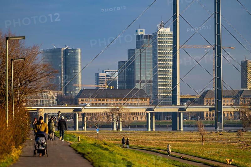 View of the Düsseldorf skyline with the Rheinkniebrücke bridge from the Oberkassler Rheinwiesen meadows, riverside path on the Rhine embankment, North Rhine-Westphalia, Germany, Europe