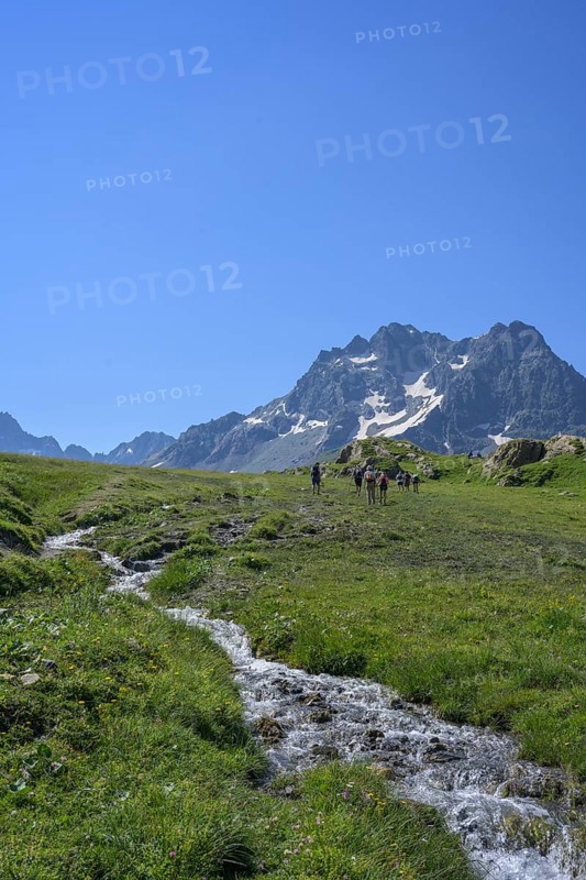 Stream in meadow behind glacier of the Agnieux group, Villar-d'Arêne, Département Hautes-Alpes, France, Europe
