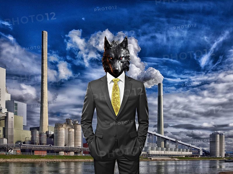 Symbolic image, wolf in a suit, industry, economy critical, exploitation, stress, trade union, pay, wage increase, insolvency, wrong decisions, unemployment, profit, profit slump, share prices, Germany as a business location, global economy, globalisation