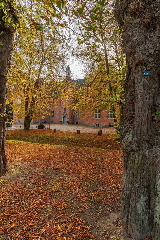 Manor house Hagen Castle in the municipality of Probsteierhagen, brick building, entrance, tower, group of trees in autumn leaves, landscape Probstei, Schleswig-Holstein, Germany, Probstei, Schleswig-Holstein, Germany, Europe