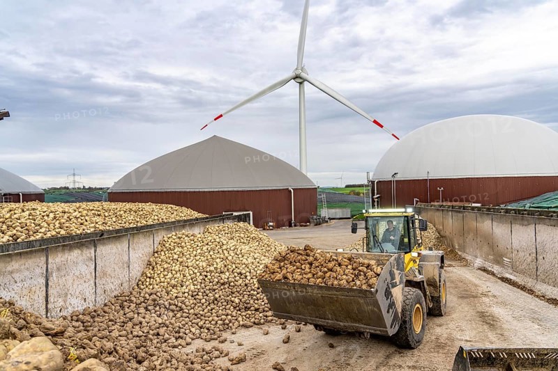 Biogas plant produces gas from various biomass, here the sugar beet storage, the electricity is produced in combined heat and power plants with the biogas produced and sold to companies in the neighbouring industrial estate, the heat generated is fed into a local heating network, gas storage and wind power plant, Ense, North Rhine-Westphalia, Germany, Europe