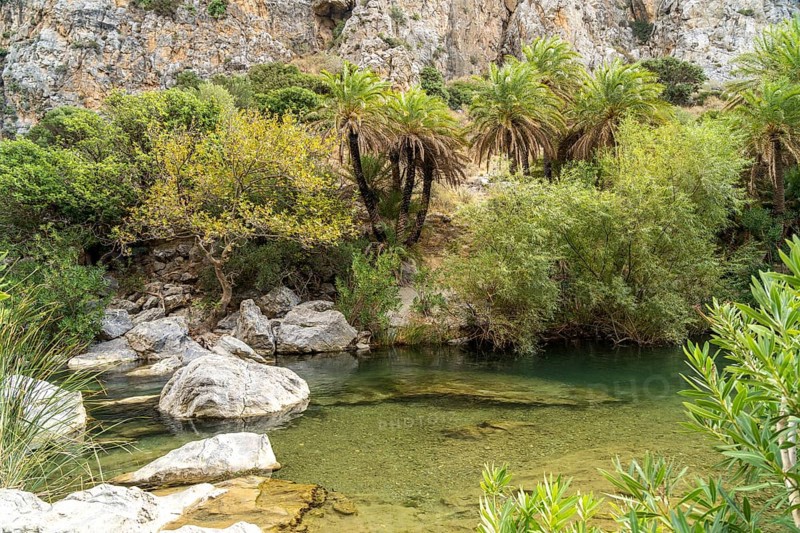 Phoenix theophrasti palms and the river Megalopotamos in the gorge of Preveli, Crete, Greece, Europe