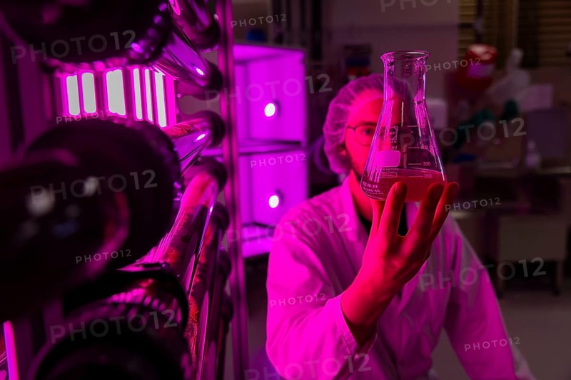 PUEVIT GmbH produces the most efficient photobioreactors for the cultivation of microalgae. The aim is to revolutionise the supply of raw materials through microalgae production. Innovative technological solutions have been developed for the growth and harvesting of spirulina, chlorella and other microalgae, for example, which enable unique efficiency, unprecedented simplicity and maximum stability in what is probably the most compact tube system on the market. Raw, unprocessed spirulina is produced as a fresh, regional food under the ALGENWERK brand. The algae grow in our own facilities and are harvested and freshly packaged directly without any further processing. Leander Seibel in red algae production, commissioning of full production at the Puevit algae plant, Dresden, Saxony, Germany, Europe