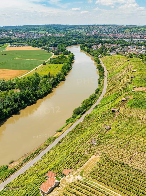 Wide green fields and a long river under a clear sky, seen from a hilly viewpoint, with a road along the river, Besigheim, Germany, Europe