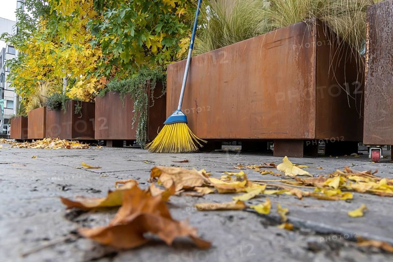 Leaves are falling from the trees. Autumn is the time for brooms to sweep the leaves off the pavement. Sweeping week in Stuttgart, Baden-Württemberg, Germany, Europe