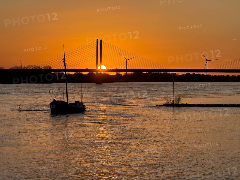 Sunset over river Rhine Lower Rhine, on the left in the foreground anchored historical ship Aalschokker fishing vessel, in the background west bank of Rhine and part of bridge Rhine bridge two-legged cable-stayed bridge, Rees, North Rhine-Westphalia, Germany, Europe