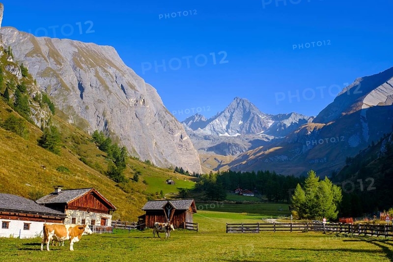 Huteralmen with Großglockner, Hohe Tauern, Ködnitztal, Kals am Großglockner, East Tyrol, Austria, Europe