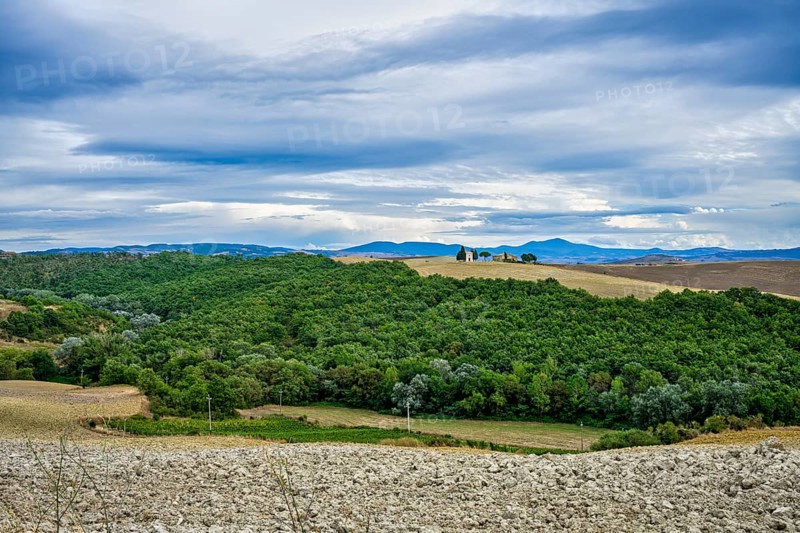 Landscape near San Quirico d'Orcia, Tuscany, Italy, Europe