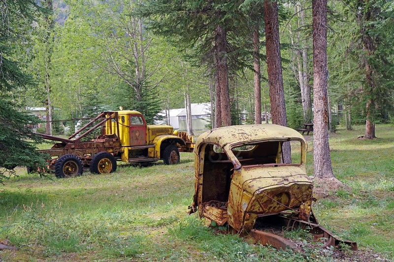 Two rusty vehicles standing in the middle of the forest in a clearing, former army camp, Yukon, Discovery Lodge, Yukon Territory, Canada, North America