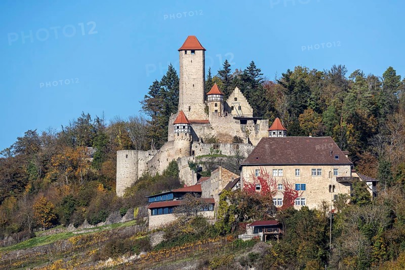 Hornberg Castle, castle of the knight Götz von Berlichingen. Landmark of Neckarzimmern and one of the largest and most important castles in the Neckar valley. Neckarzimmern, Baden-Württemberg, Germany, Europe
