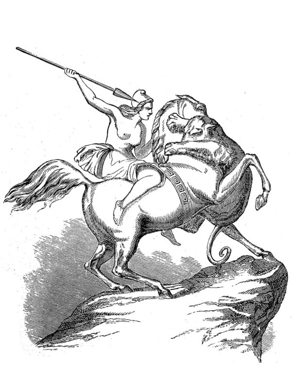 Woman, Amazon on horseback fighting a lion, illustration from 1884, historical, digital reproduction of an original 19th century artwork