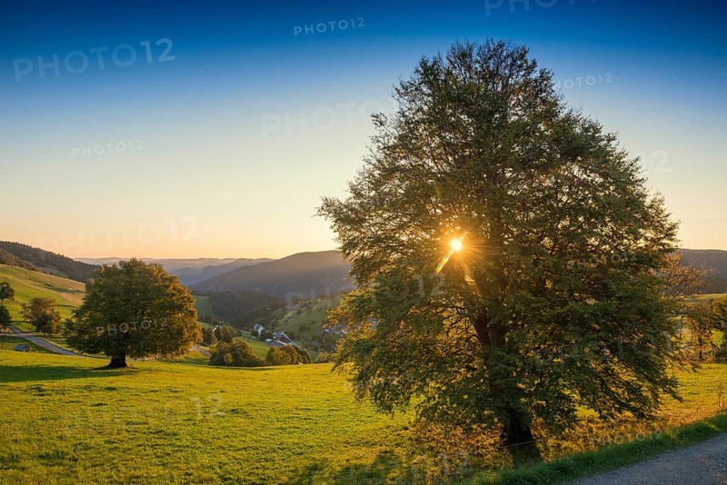 Sunrise, Hofsgrund, Oberried, Schauinsland, Black Forest, Baden-Württemberg, Germany, Europe
