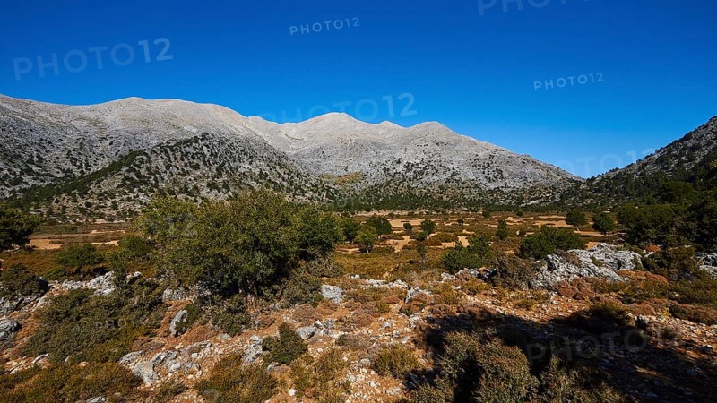 Niatos Plateau, Wide landscape with mountain range and sparse vegetation under blue sky, near Lefka Ori, White Mountains, Askifou, Sfakia, West Crete, Crete, Greece, Europe