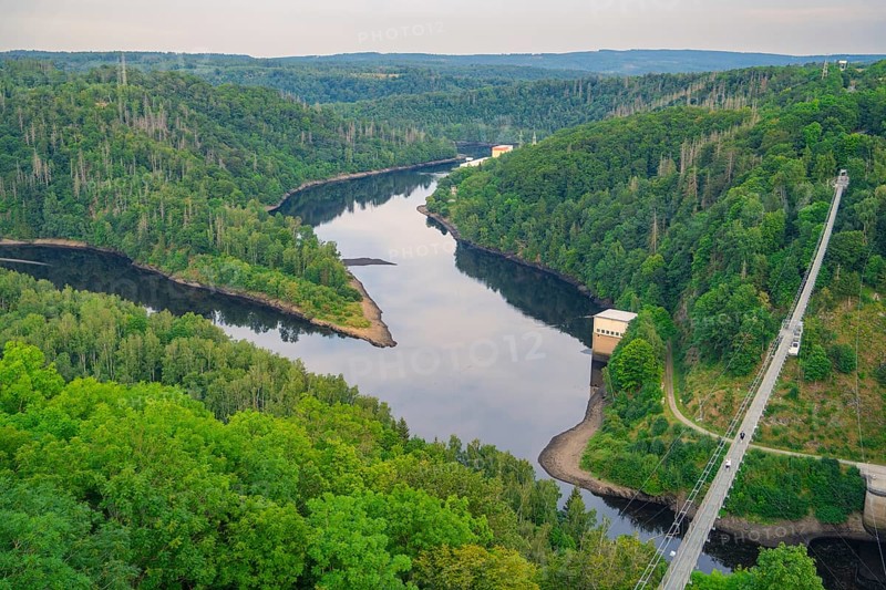 Panoramic view of a green landscape with a river winding through a densely wooded valley, Rappbodetalsperre, Harz Mountains, Germany, Europe