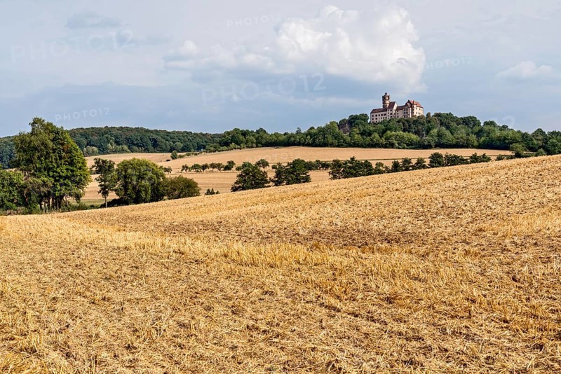 Ronneburg Castle, knight's castle from the Middle Ages, harvested grain fields, field, hill, forest, dry cultural landscape, Ronneburger Hügelland, Main-Kinzig-Kreis, Hesse, Germany, Europe