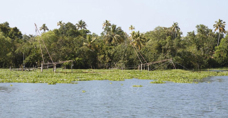Palm trees and Chinese fishing nets on the shore of Lake Vembanad, canal system of the backwaters, Kerala, India, Asia