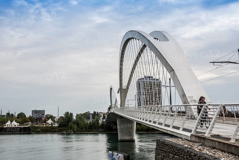 Bridge over the Rhine, cable-stayed bridge Passerelle des Deux Rives, Kehl, Ortenau, Baden-Württemberg, Germany, Europe