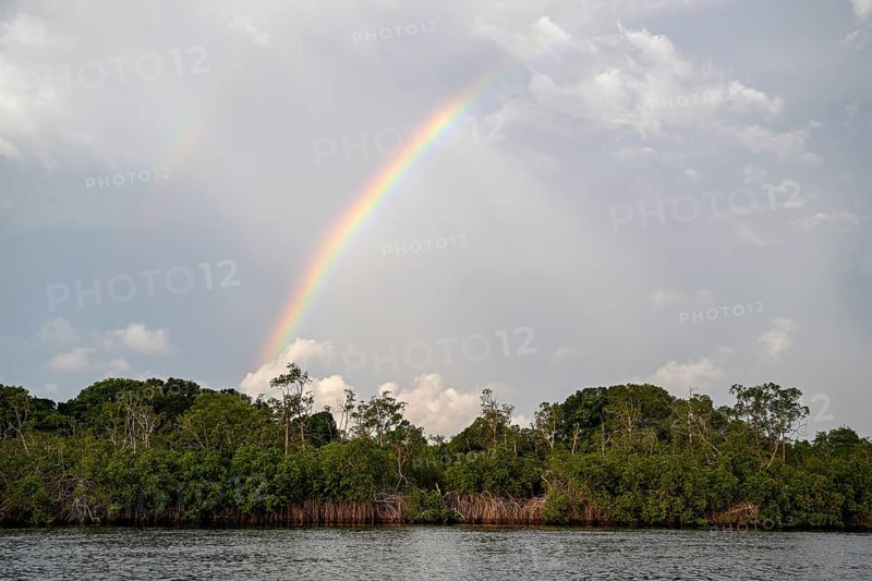 Rainbow over the Iguéla Lagoon, Loango National Park, Parc National de Loango, Ogooué-Maritime Province, Gabon, Africa