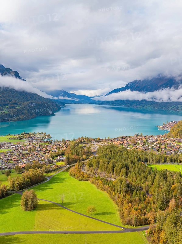 Painted village landscape with a lake and mountains in the background, Lake Brienz, Switzerland, Europe