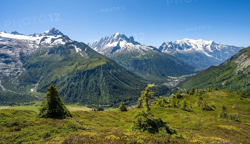 Mountain panorama with glaciated mountain peaks, Aiguille de Chardonnet with Glacier du Tour, Aiguille Verte with Aiguille du Midi and Mont Blanc, hike to Aiguillette des Posettes, Chamonix, Haute-Savoie, France, Europe