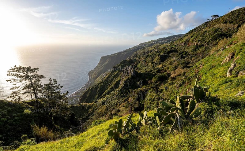 Evening mood, green coastal landscape on a steep cliff, sea and coast, viewpoint Miradouro da Raposeira, Paul do Mar, Madeira, Portugal, Europe