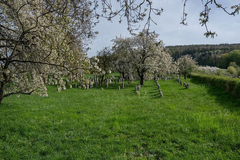 Jewish cemetery, established 1734, last occupancy 1934, Hagenbach, Upper Franconia, Bavaria, Germany, Europe
