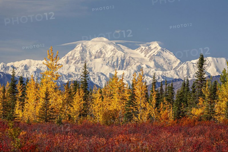 Mount Denali in the sun, autumn colours, autumn, Denali Highway, Alaska, USA, North America