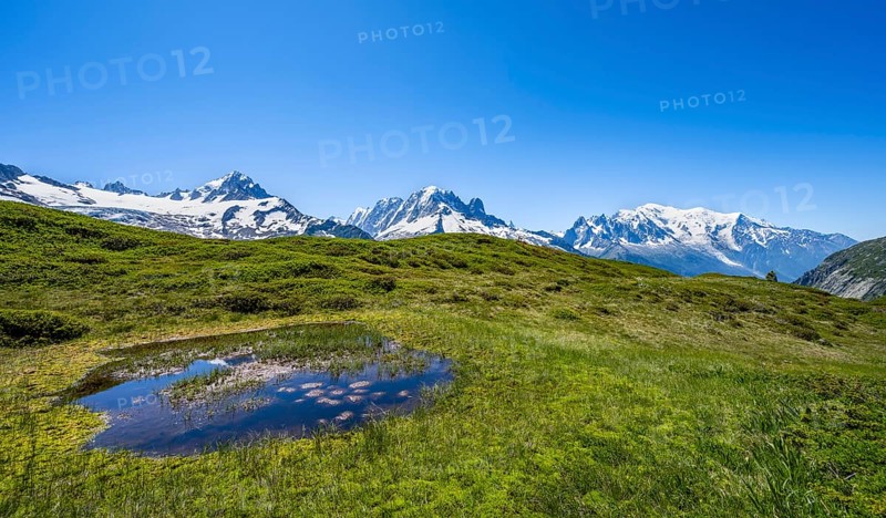 Mountain panorama with glaciated mountain peaks, Aiguille de Chardonnet with Glacier du Tour, Aiguille Verte with Aiguille du Midi and Mont Blanc, hike to Aiguillette des Posettes, Chamonix, Haute-Savoie, France, Europe