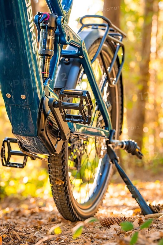 Detailed view of the pedals of an electric bike in the forest, e-bike, forest bike, Calw, district of Calw, Black Forest, Germany, Europe