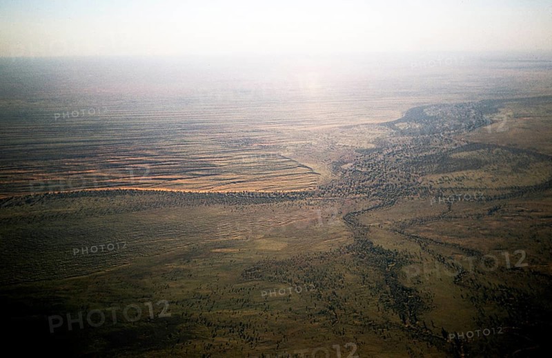 Oblique aerial photograph, probably of the Simpson Desert, Australia 1956