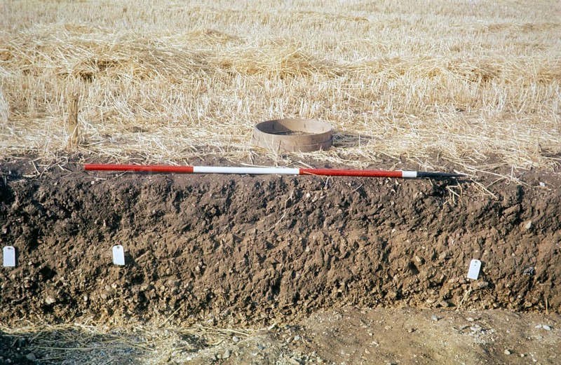 Measuring rod and sieve at the trench Archaeological excavation site of the University of Cambridge called Great Shelford, Cambridgeshire, England, UK 1976