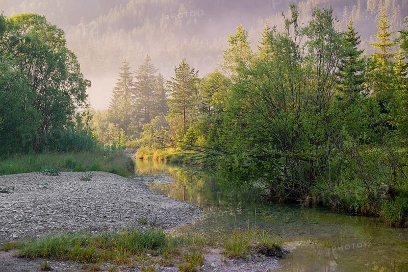 Isar valley nature conservancy area. The wild Isar river flows through its gravel bed past driftwood and entrained trees and bushes . Early morning