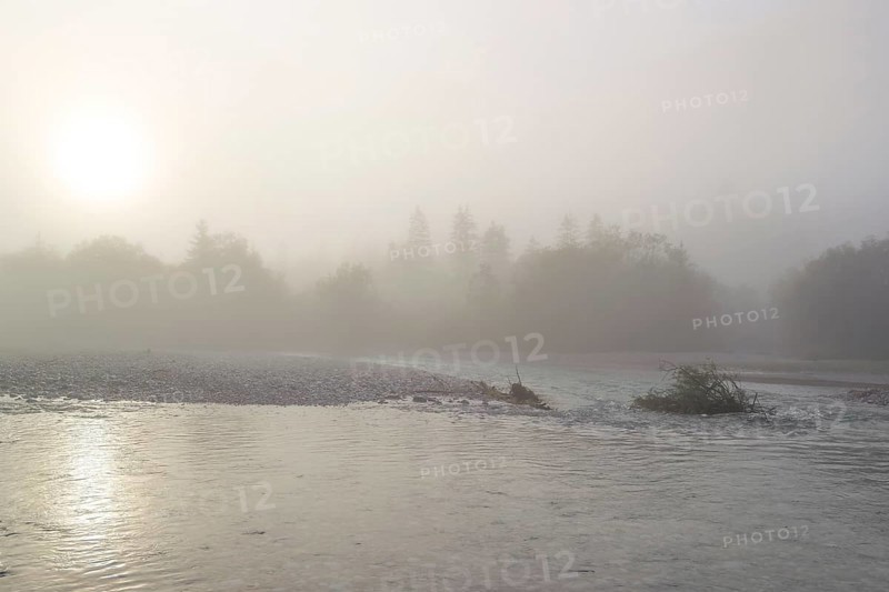 Isar valley nature conservancy area. The wild Isar river flows through its gravel bed past driftwood and entrained trees and bushes . Sunrise with dense fog