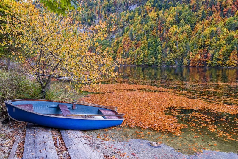 A rowing boat lies ashore of Lake Toplitz, forest in full autumn colors, Austria, Europe