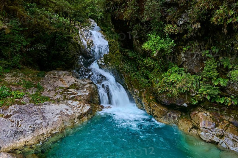 A waterfall flows into a turquoise-coloured pool surrounded by lush greenery, summer, Milford Sound, Te Anau, Fiordland National Park, South Island, New Zealand, Oceania