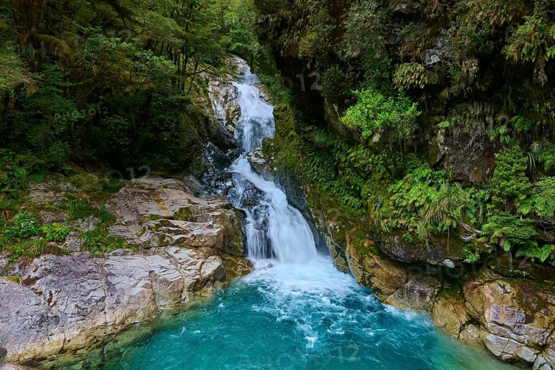A waterfall flows into a turquoise-coloured pool surrounded by dense forests, summer, Milford Sound, Te Anau, Fiordland National Park, South Island, New Zealand, Oceania