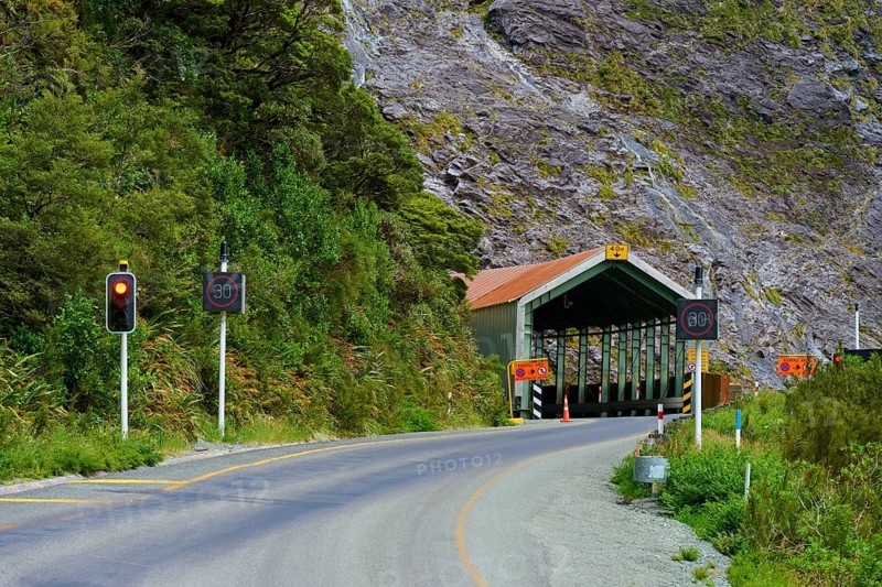 A bend in the road leads into a tunnel with red traffic lights, surrounded by dense vegetation and rock faces, summer, Milford Sound, Te Anau, Fiordland National Park, South Island, New Zealand, Oceania