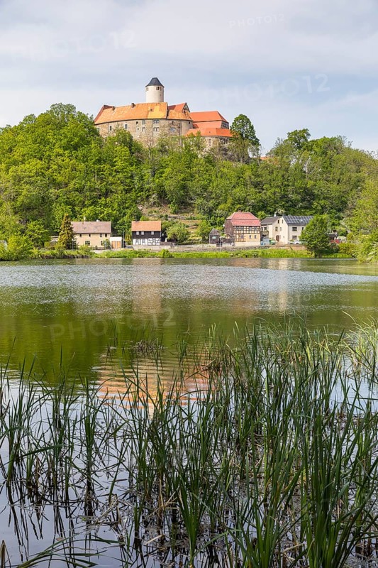 Gondola pond and Schönfels Castle in Altschönfels, Zwickau district, Saxony, Germany, Europe